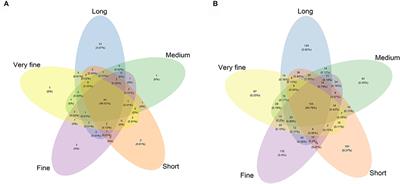 Effect of dietary peNDF levels on digestibility and rumen fermentation, and microbial community in growing goats